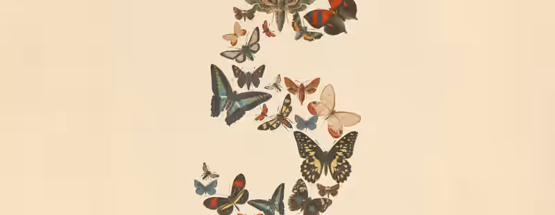 Claude Fable 5 y Mythos 5: el salto de Anthropic a frontera