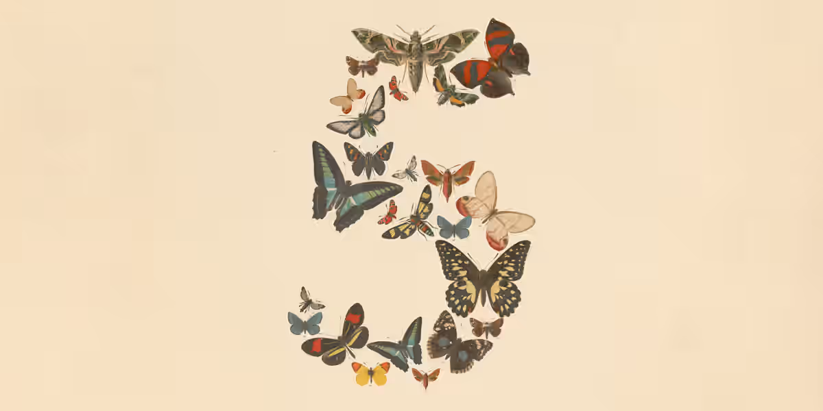 Claude Fable 5 y Mythos 5: el salto de Anthropic a frontera